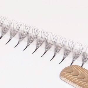 Promade fans, Rapid fans