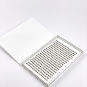 Promade fans, Fans in lines