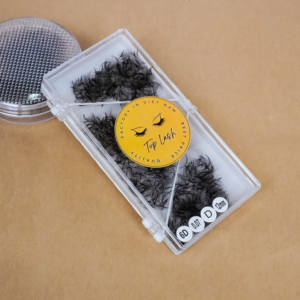 6D Promade fans, Loose fans