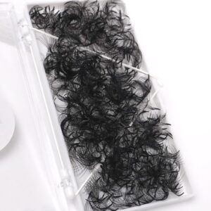 6D Promade fans, Loose fans