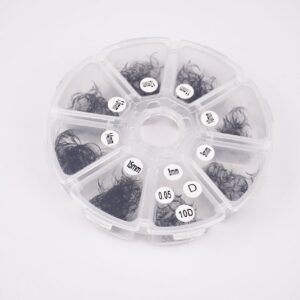 10D Promade fans, Wheel Box