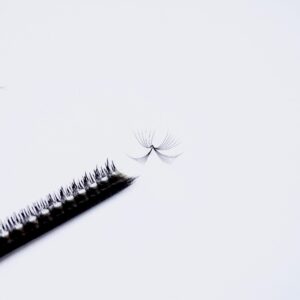 Promade fans, Rapid fans